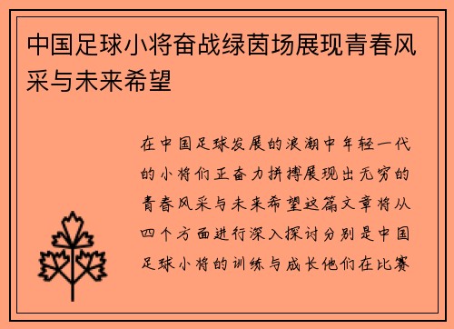 中国足球小将奋战绿茵场展现青春风采与未来希望